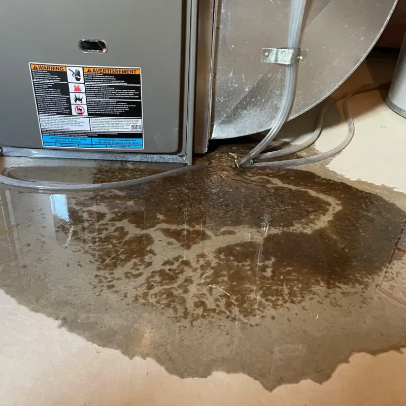 Appliance Leak Cleanup in Shackle Island, TN