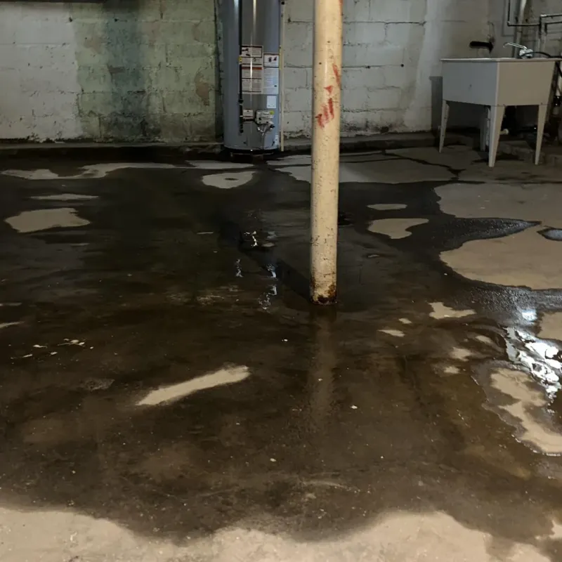 Emergency Water Extraction And Removal in Shackle Island, TN